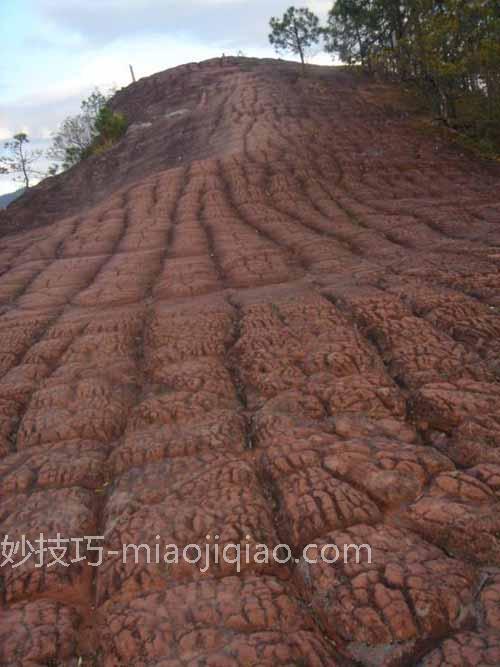 丽江印象