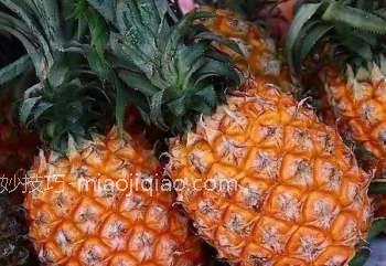如何区分菠萝和凤梨？它们是同一种水果吗？