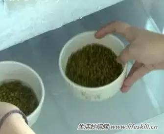 煮绿豆汤，让绿豆开花只需2分钟