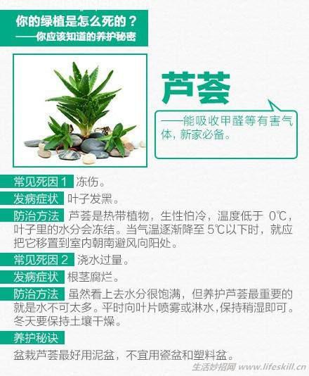 你应该知道的养花技巧