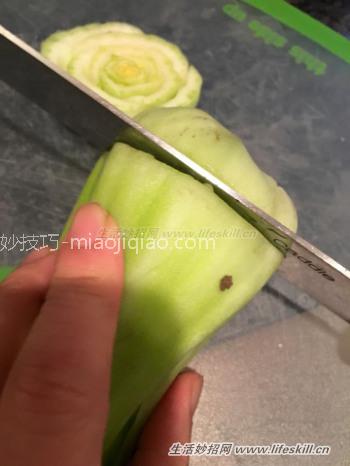 巧用要丢弃的菜头制作小盆栽 